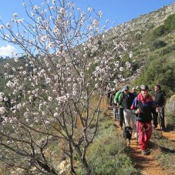 19-01-16-Sierra-de-Solana-15