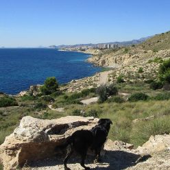 19-10-16-Villajoyosa-16