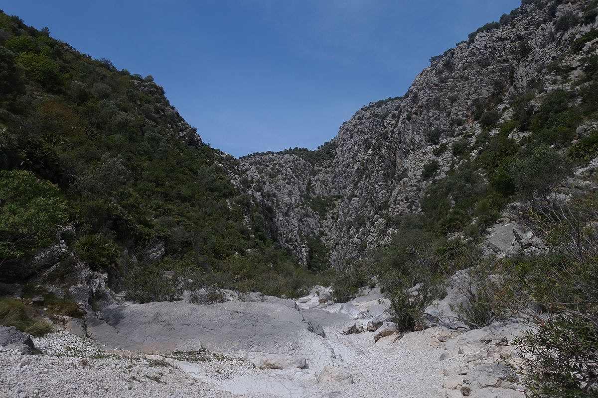 19-04-17-Laguart-S-10