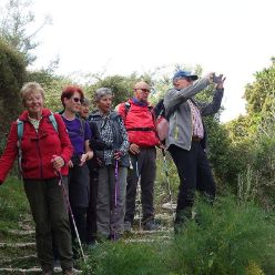 19-04-17-Laguart-S-01