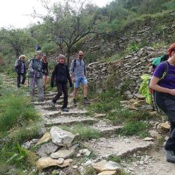 19-04-17-Laguart-S-02