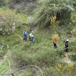 19-04-17-Laguart-S-26