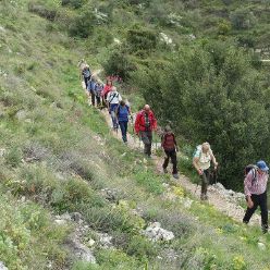 19-04-17-Laguart-S-28