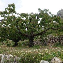 19-04-17-Laguart-S-29