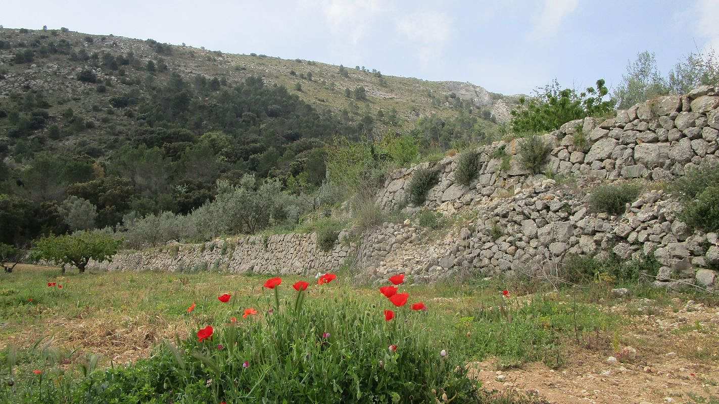 19-04-17-Laguart-I-14
