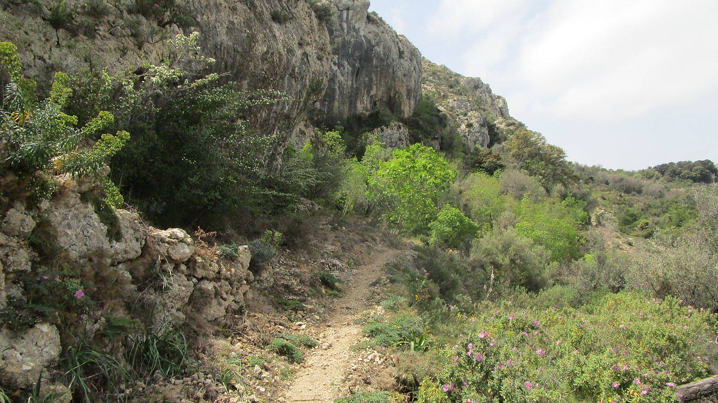 19-04-17-Laguart-I-25