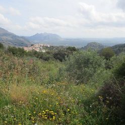 19-04-17-Laguart-I-05