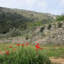 19-04-17-Laguart-I-14
