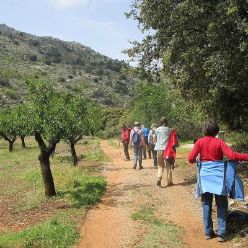 19-04-17-Laguart-I-19