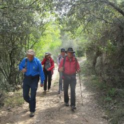 19-04-17-Laguart-I-21