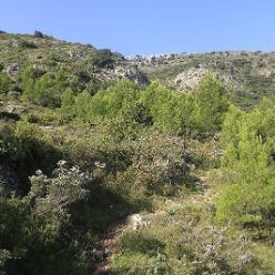19-09-18-Sierra-de-Carrascal-05