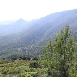 19-09-18-Sierra-de-Carrascal-08