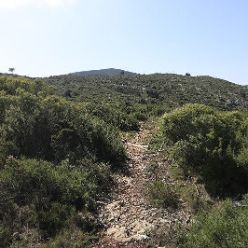 19-09-18-Sierra-de-Carrascal-11