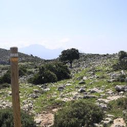 19-09-18-Sierra-de-Carrascal-13