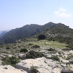 Sierra de Carrascal - gefuehrt von Hubert