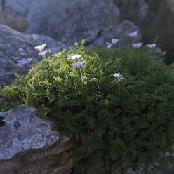 19-09-18-Sierra-de-Carrascal-26