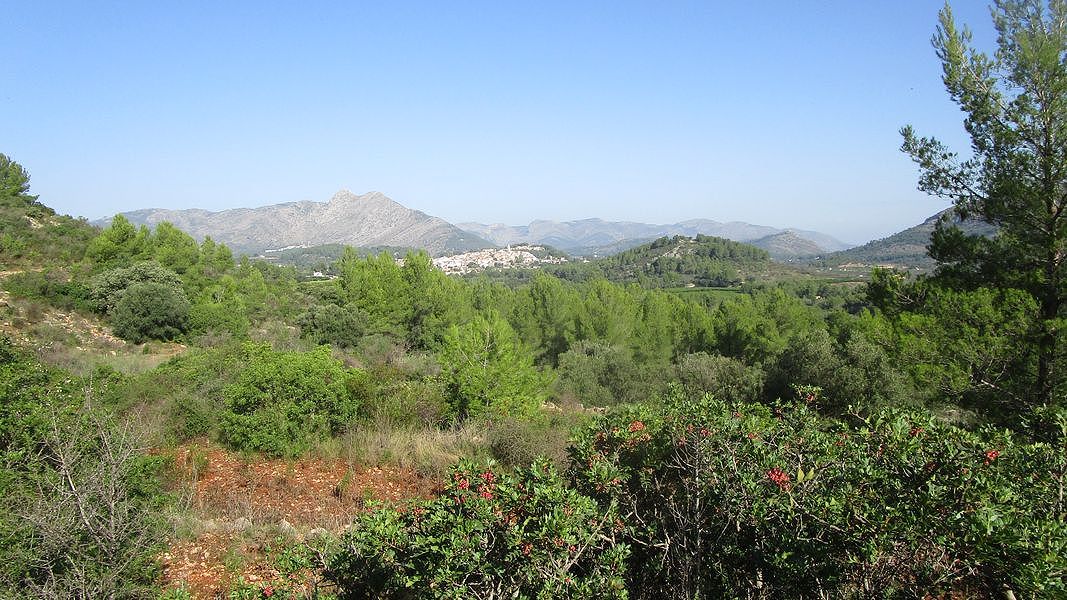 19-09-18-Vall-de-Pop-04