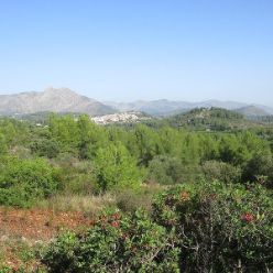 19-09-18-Vall-de-Pop-04
