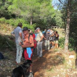 19-09-18-Vall-de-Pop-06