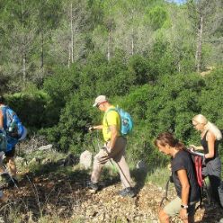 19-09-18-Vall-de-Pop-09