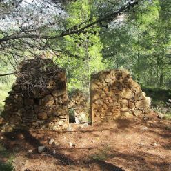 19-09-18-Vall-de-Pop-11