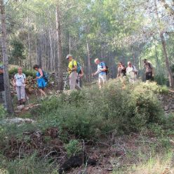 19-09-18-Vall-de-Pop-12
