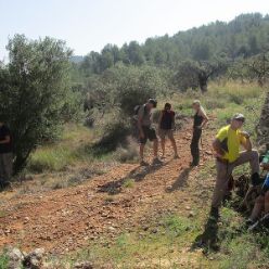 19-09-18-Vall-de-Pop-20