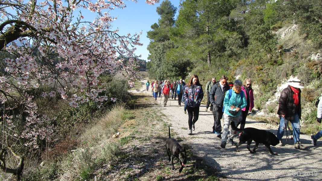 19-02-20-Vall-de-Seta-01