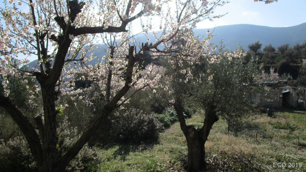 19-02-20-Vall-de-Seta-02