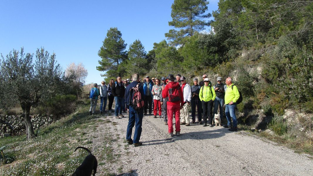 19-02-20-Vall-de-Seta-03