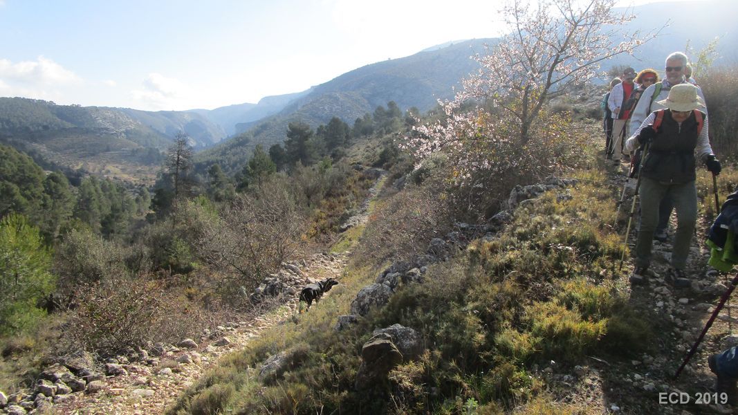 19-02-20-Vall-de-Seta-04