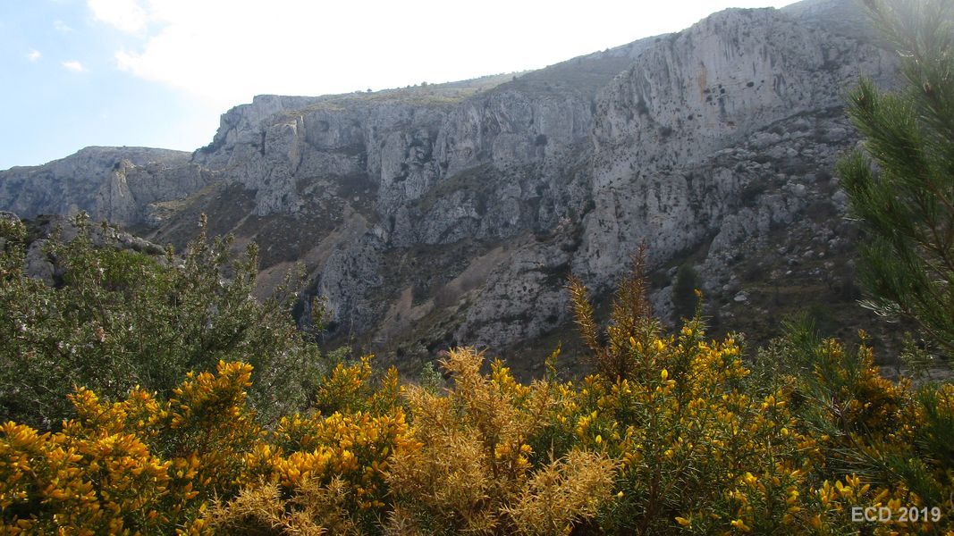 19-02-20-Vall-de-Seta-19