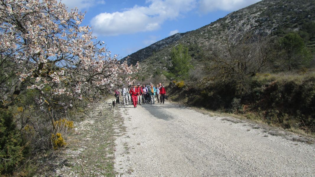 19-02-20-Vall-de-Seta-21