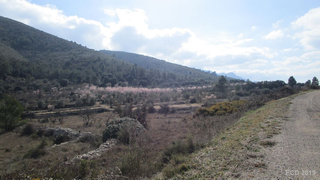 19-02-20-Vall-de-Seta-23