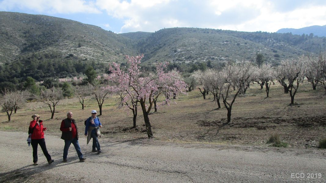 19-02-20-Vall-de-Seta-25
