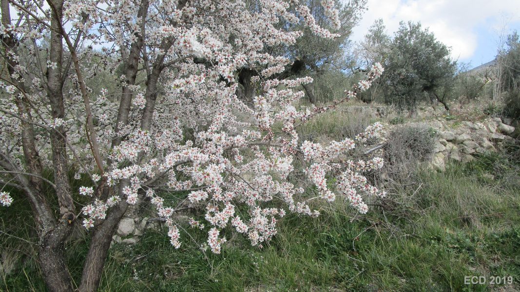 19-02-20-Vall-de-Seta-26