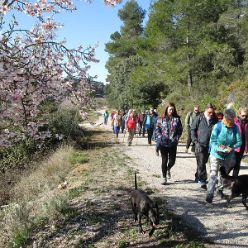 19-02-20-Vall-de-Seta-01