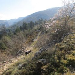 19-02-20-Vall-de-Seta-04