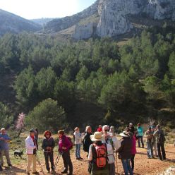 19-02-20-Vall-de-Seta-07