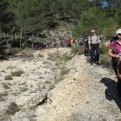 19-02-20-Vall-de-Seta-17