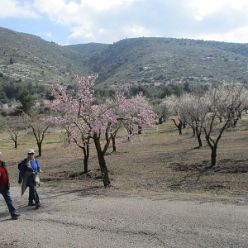 19-02-20-Vall-de-Seta-25