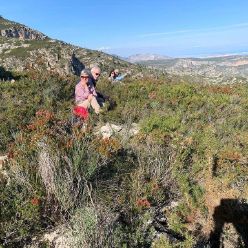 19-11-20-Font-de-Drova-12