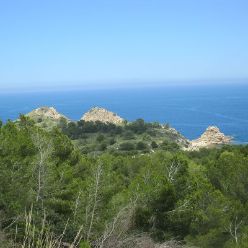 22.05. - Cap Prim