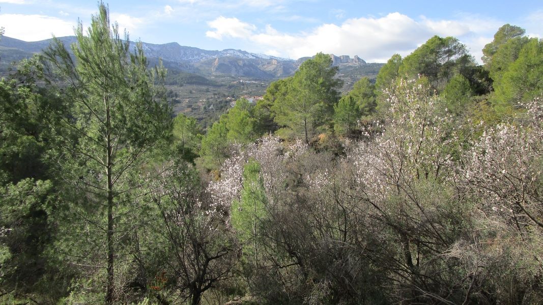 19-01-23-Guadalest-08