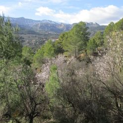 19-01-23-Guadalest-08