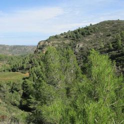 19-10-23-Sierra-de-Senija-10