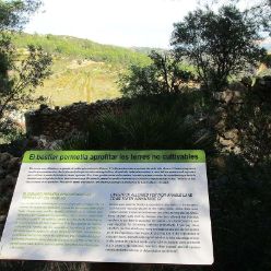 19-10-23-Sierra-de-Senija-11