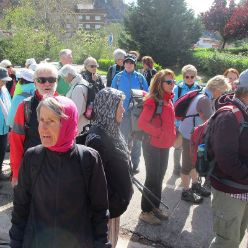 19-04-24-Buswanderung-02