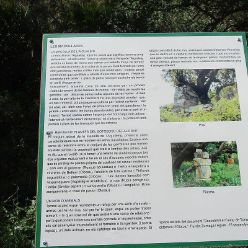 19-04-24-Buswanderung-09