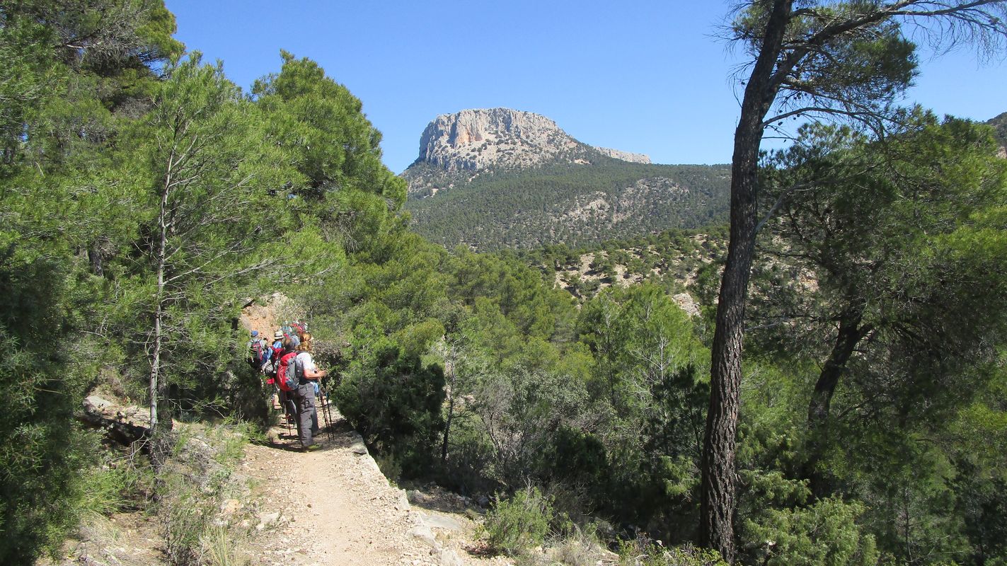 19-03-27-Espuna-schwer-08